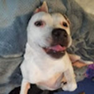 Meet your Posher, John pablo